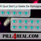 À Quoi Sert La Gelée De Kamagra 29